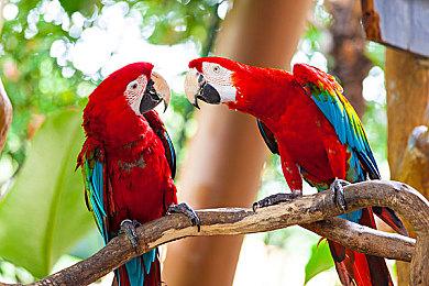 《马力欧派对3》本周加入NSO会员N64游戏库